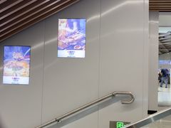 -上海长风大悦城