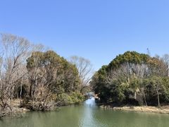 -贡湖湾湿地公园