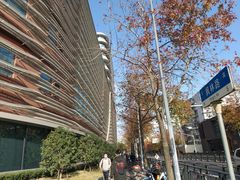 -上海市徐汇区口腔医院
