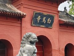 -洛阳市牡丹公园