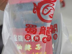-蜀龙阁· 龍头水煮鱼(天坛店)