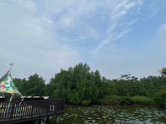 -大湾区中央湿地公园