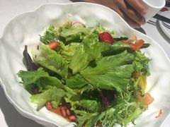 -大鸭梨烤鸭(顺义石园店)