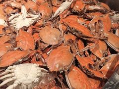 -禾斗海鲜自助(市南银座店)