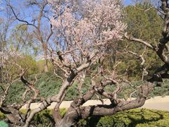 -元大都城垣遗址公园