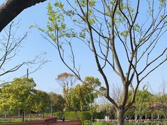 -嘉北郊野公园