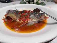 -印象鲵宴·张家界地标美食名片(溪布街店)