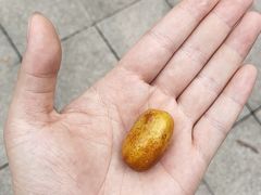 -叶老大肥肠