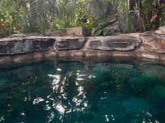 -中家鑫园温泉酒店鑫悦汤泉