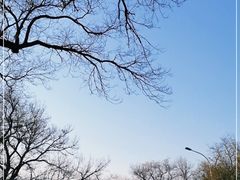-东华门大街小区