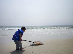 -西涌国际滨海旅游区