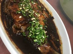 -马陆小张葡萄园农家乐