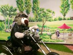 -济州岛泰迪熊博物馆