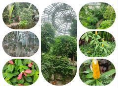 -郑州植物园