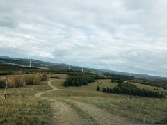 -塞罕坝国家级自然保护区