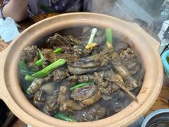 -广宁炭炉鸡煲·富临门饭店