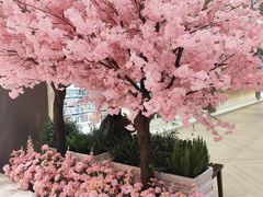 -银隆百货(萧山店)