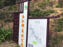 -广州白江湖森林公园