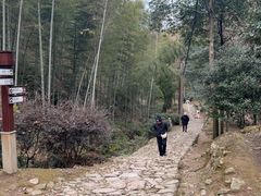 -仙霞关景区