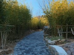 -竹子庵公园