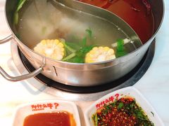 -为什么牛潮汕牛肉火锅(中信广场店)