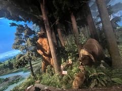 -陕西自然博物馆