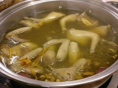 -百利鸽王(紫薇路店)