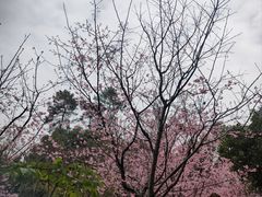 -南溪山景区
