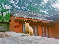 -封龙山风景区