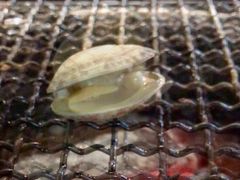 -喝丢一只鞋·东北烤肉·烧烤·铜火锅(江宁店)