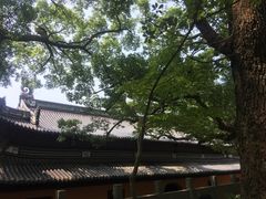 景点-普陀山风景名胜区-法雨禅寺