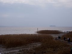 -seeu coffee(江滩店)