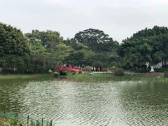 -东莞植物园