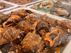 -苏大嘴蒸汽海鲜·海胆蒸饺(中山广场店)