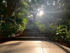 -深圳国际园林花卉博览园