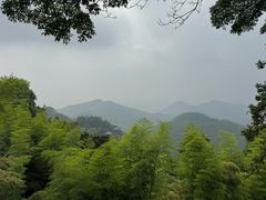 -莫干山风景区