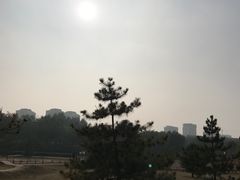 景点-兴安湖生态运动公园