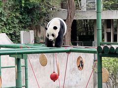 -天津市动物园