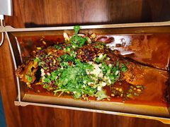 香辣炝锅鱼-树厨贵州菜(铜仁花果山店)