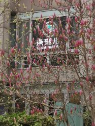 点击看大图 -奈瑞儿美养院