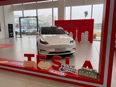 -TESLA 特斯拉(郑州正弘城体验店)