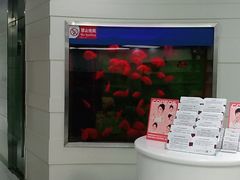 -雅悦齿科(顾村公园店)