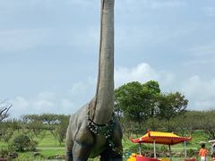 -上海海湾国家森林公园