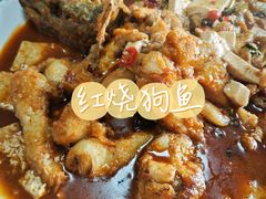 -煲来饱去冷水鱼