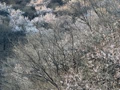 -妙峰山风景名胜区
