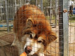 -武汉紫薇都市田园