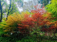 -岳麓山风景名胜区