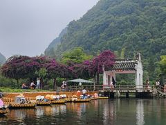-靖西鹅泉风景区