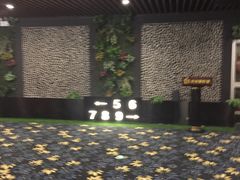 -CMC大光明影城(莲花店)