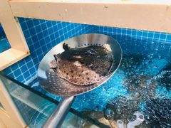 -元银甲·湖北地标美食(汉阳店)